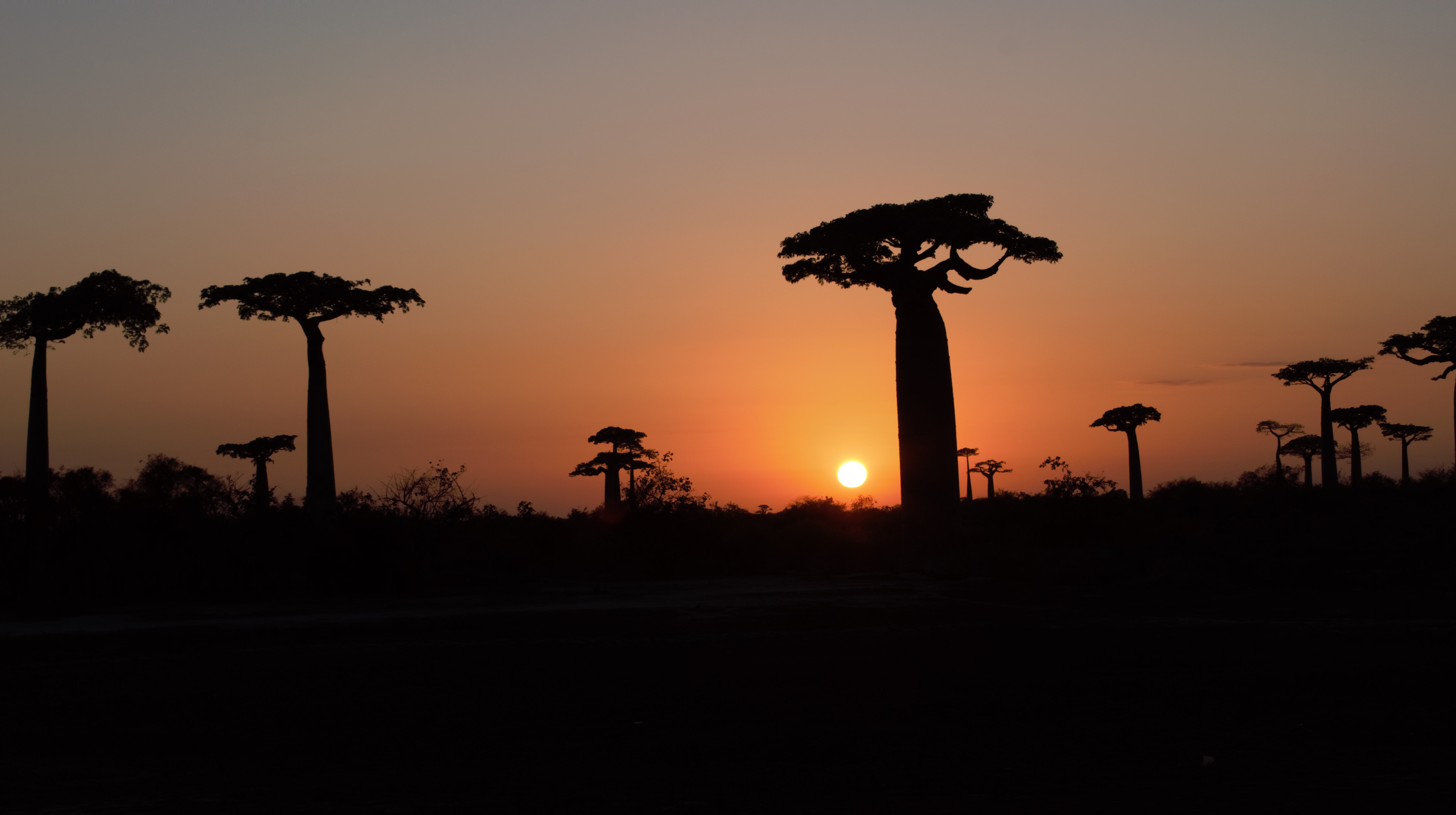 couchée_de_soleil
