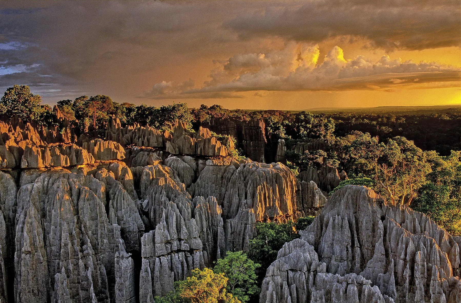 Tsingy-de-Bemaraha-National-Park-Madagascar
