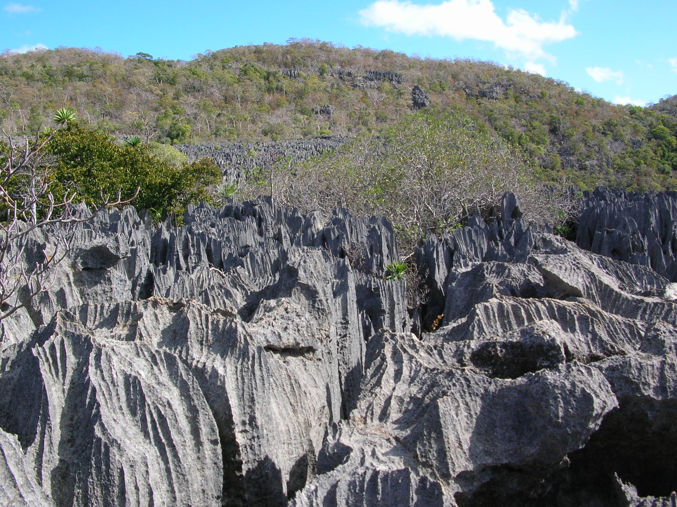 Tsingy_Ankarana_Madagascar_16-07-2004