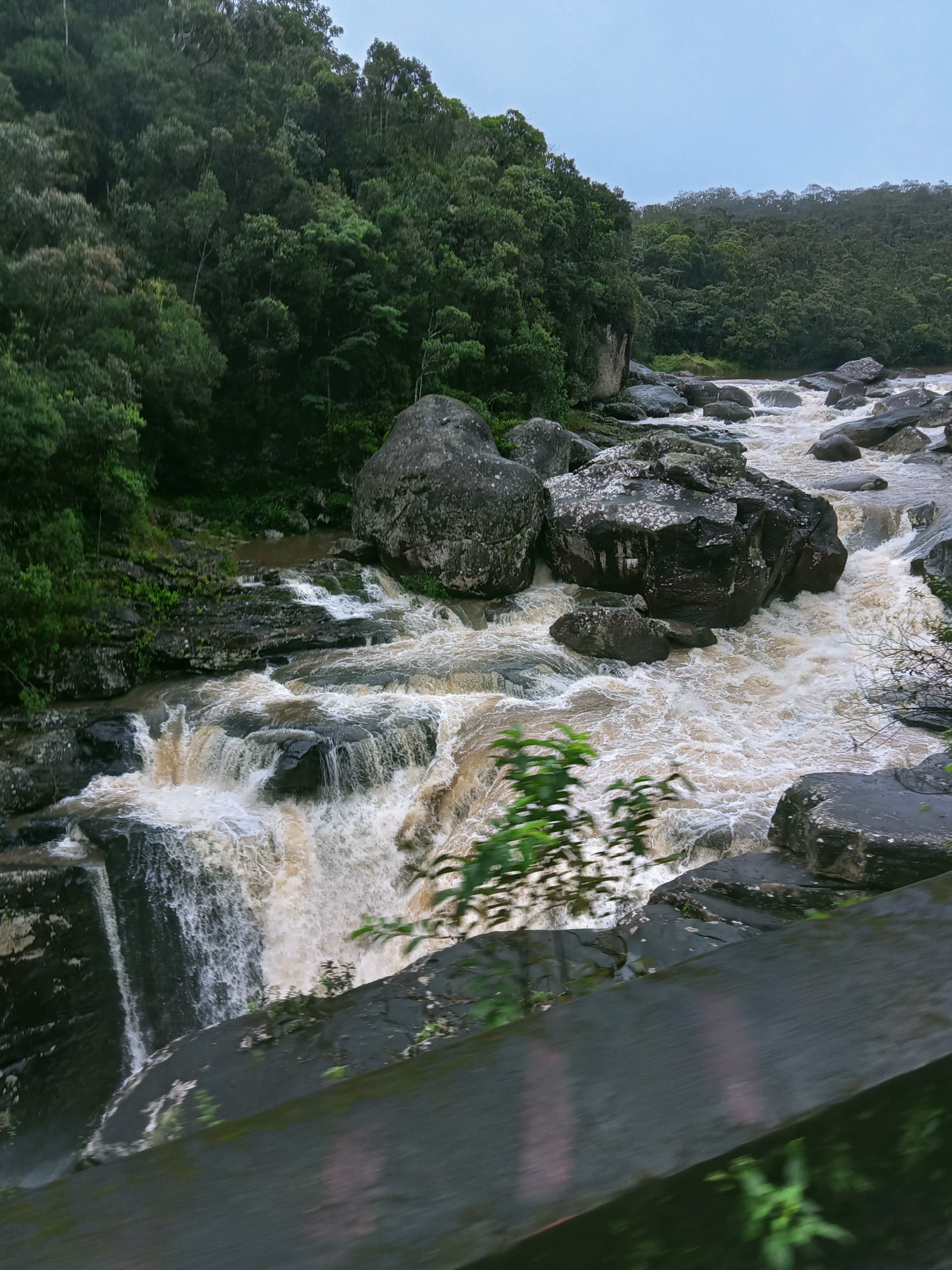 RANOMAFANA